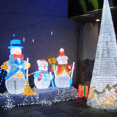 Commercial Christmas Lights